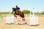 SBM_000646