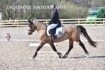 BPP_9424