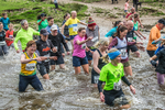 Dovedale Dash-250