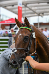 170623-Race 1-Kihavah-0264