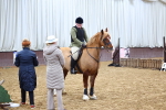 SBM_003084