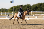 SBM_007034