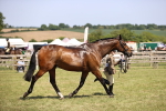 SBM_17782