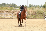 SBM_003609