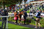 230824-Race 5-Canoodled-9279
