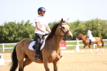 SBM_007818