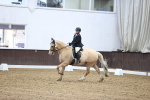 SBM_004509