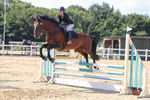 3E7A0833
