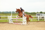 SBM_001378
