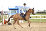 SBM_006052