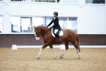 SBM_003224