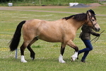 SIAL6419