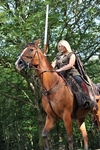equiscot 1339