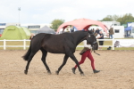 SBM_07878