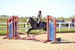 SBM_000739