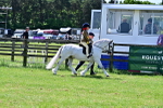 SBM_06001