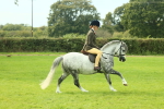 SBM_69822