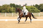 SBM_006334