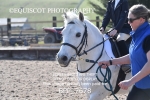 BPP_7678