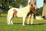 SBM_58576