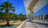 El Palmeral