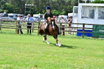 SBM_03734