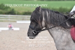 BPP_7307