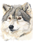 Wolfie