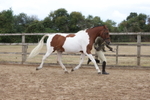 Class 6 - Best Condition portfolio