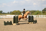 SBM_04201