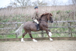 SBM_006333