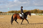 SBM_002802