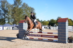 J60 - Clear Round 75cm portfolio