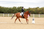 SBM_001918