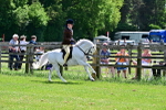 SBM_07853