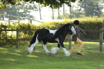 SBM_60862
