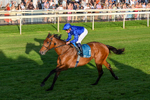 240726-Race 5-Diamond Rain-0559