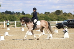SBM_014561