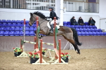 Class 8 - Nupafeed Supplements Senior Discovery/ 1m Open portfolio