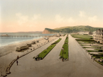 Teignmouth The Den 4