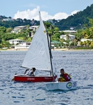 Bequia Youth Sailors at a local regatta held at Young Island