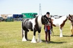 SBM_05518