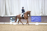 SBM_004254