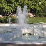 Fountain Restoration