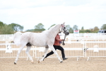 SBM_04006