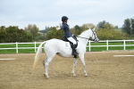 LAD_4664