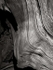 Weathered Oak