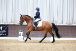 SBM_002437