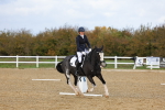 SBM_002294
