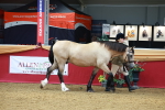 SBM_04163